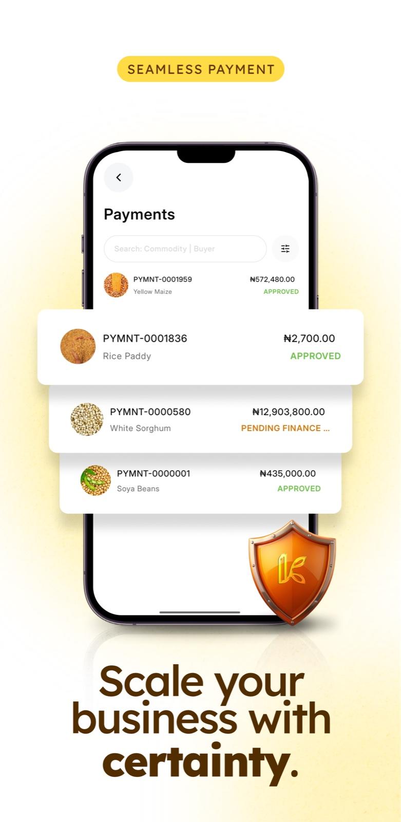 Payments screen